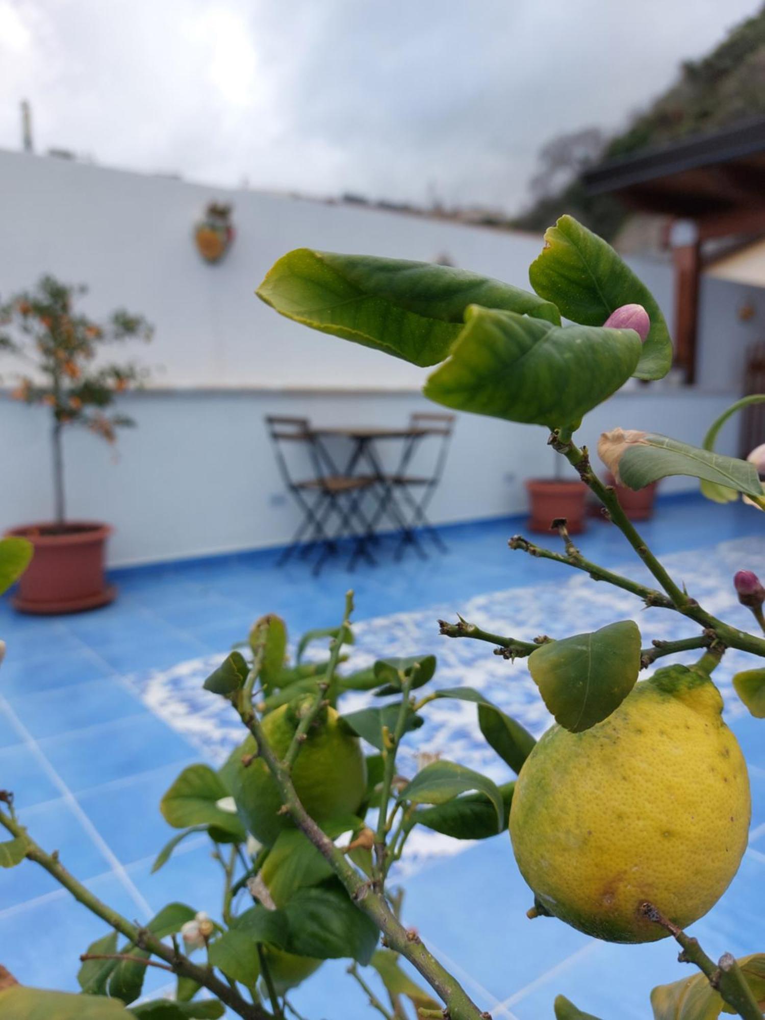 B&B La Filanda ชิลลา ภายนอก รูปภาพ